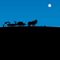 Harvest Moon